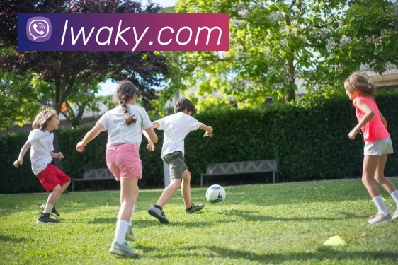 奖项证书